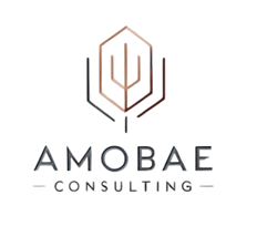 Amobae Logo - Consulting firm specialized in organizational and financial optimization